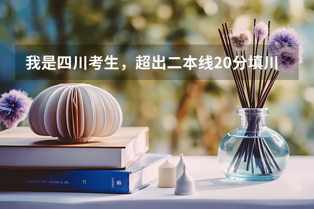 我是四川考生，超出二本线20分填川内哪些好一点的二本学校容易被录取？