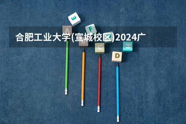 合肥工业大学(宣城校区)2024广东高考招生计划 招多少人