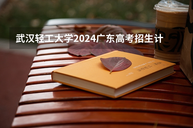武汉轻工大学2024广东高考招生计划 招多少人