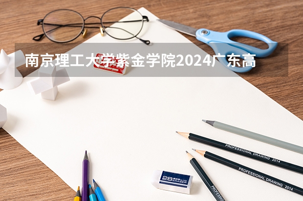 南京理工大学紫金学院2024广东高考招生计划 招多少人