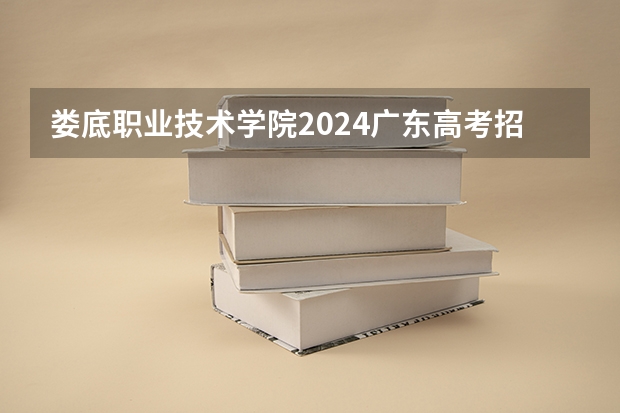 娄底职业技术学院2024广东高考招生计划 招多少人