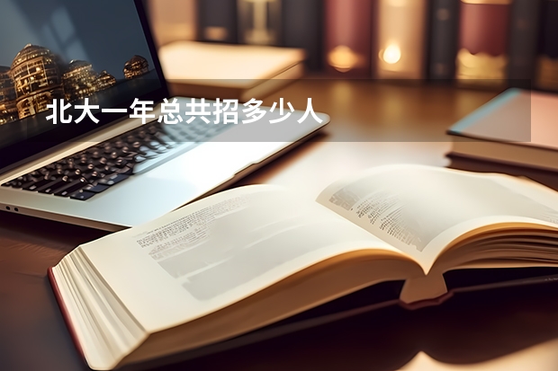 北大一年总共招多少人