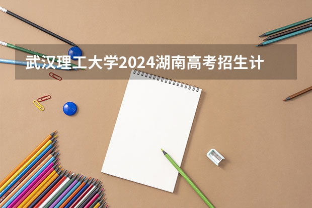 武汉理工大学2024湖南高考招生计划 招多少人