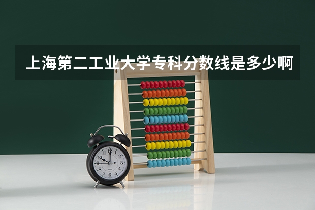 上海第二工业大学专科分数线是多少啊?