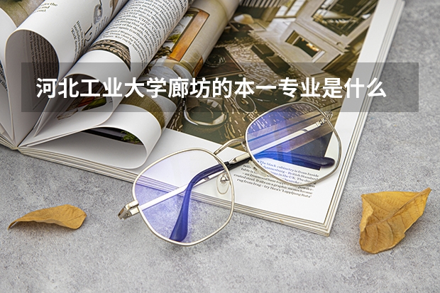 河北工业大学廊坊的本一专业是什么