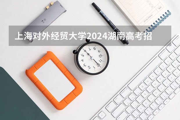 上海对外经贸大学2024湖南高考招生计划 招多少人