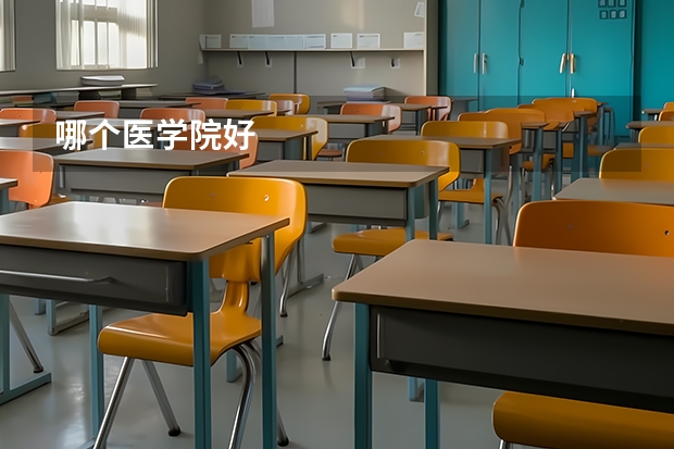 哪个医学院好