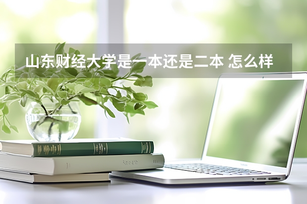 山东财经大学是一本还是二本 怎么样