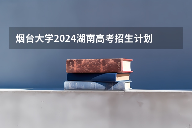 烟台大学2024湖南高考招生计划 招多少人