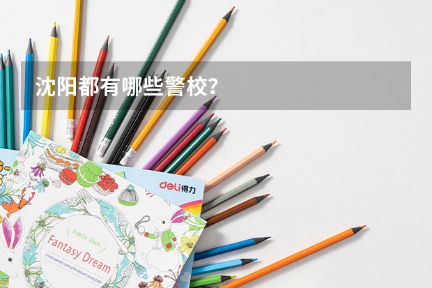 沈阳都有哪些警校？