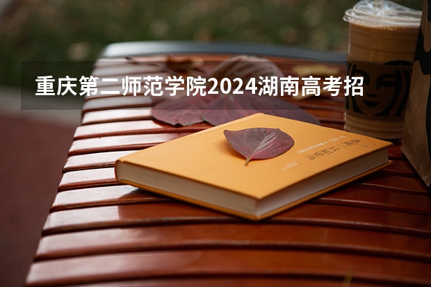 重庆第二师范学院2024湖南高考招生计划 招多少人
