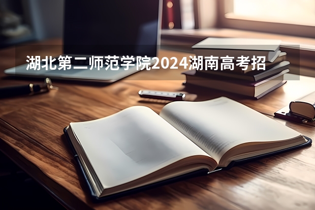 湖北第二师范学院2024湖南高考招生计划 招多少人