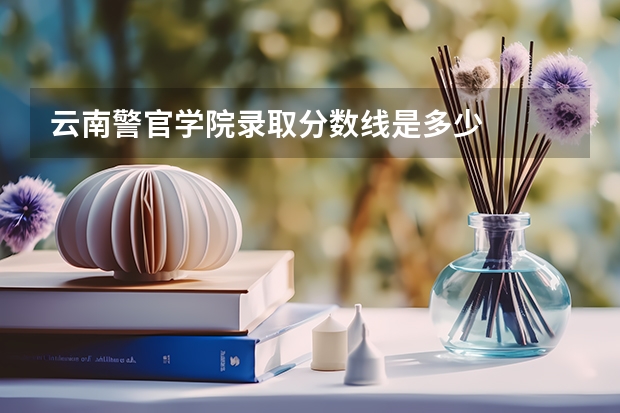 云南警官学院录取分数线是多少