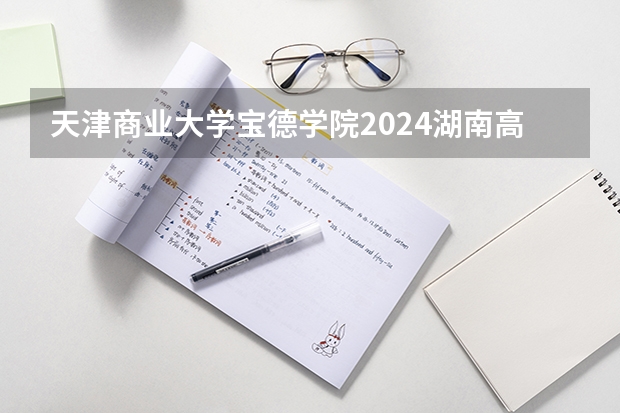 天津商业大学宝德学院2024湖南高考招生计划 招多少人