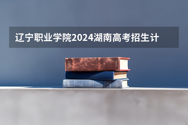 辽宁职业学院2024湖南高考招生计划 招多少人