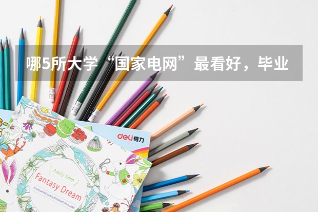 哪5所大学“国家电网”最看好，毕业生很抢手，考上就是铁饭碗？ 东北电力大学考研分数线